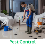 pest control in nagpur